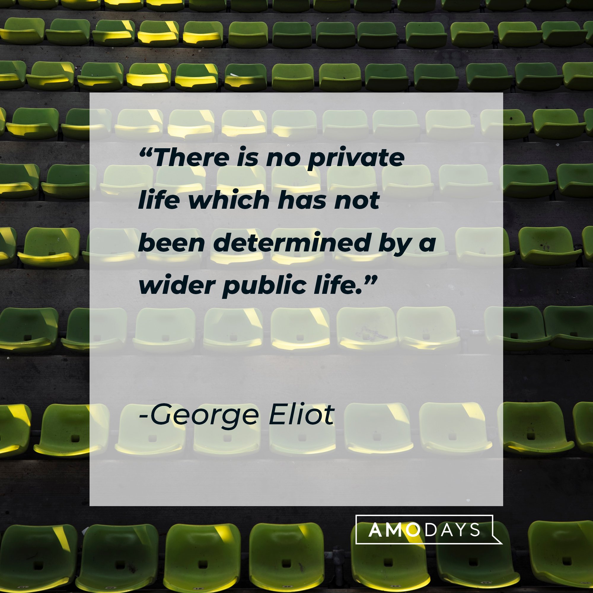 George Eliot’s quote: “There is no private life which has not been determined by a wider public life." | Image: AmoDays   