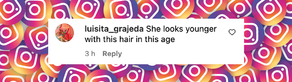 A fan comment dated October 27, 2024 | Source: Instagram/justjared