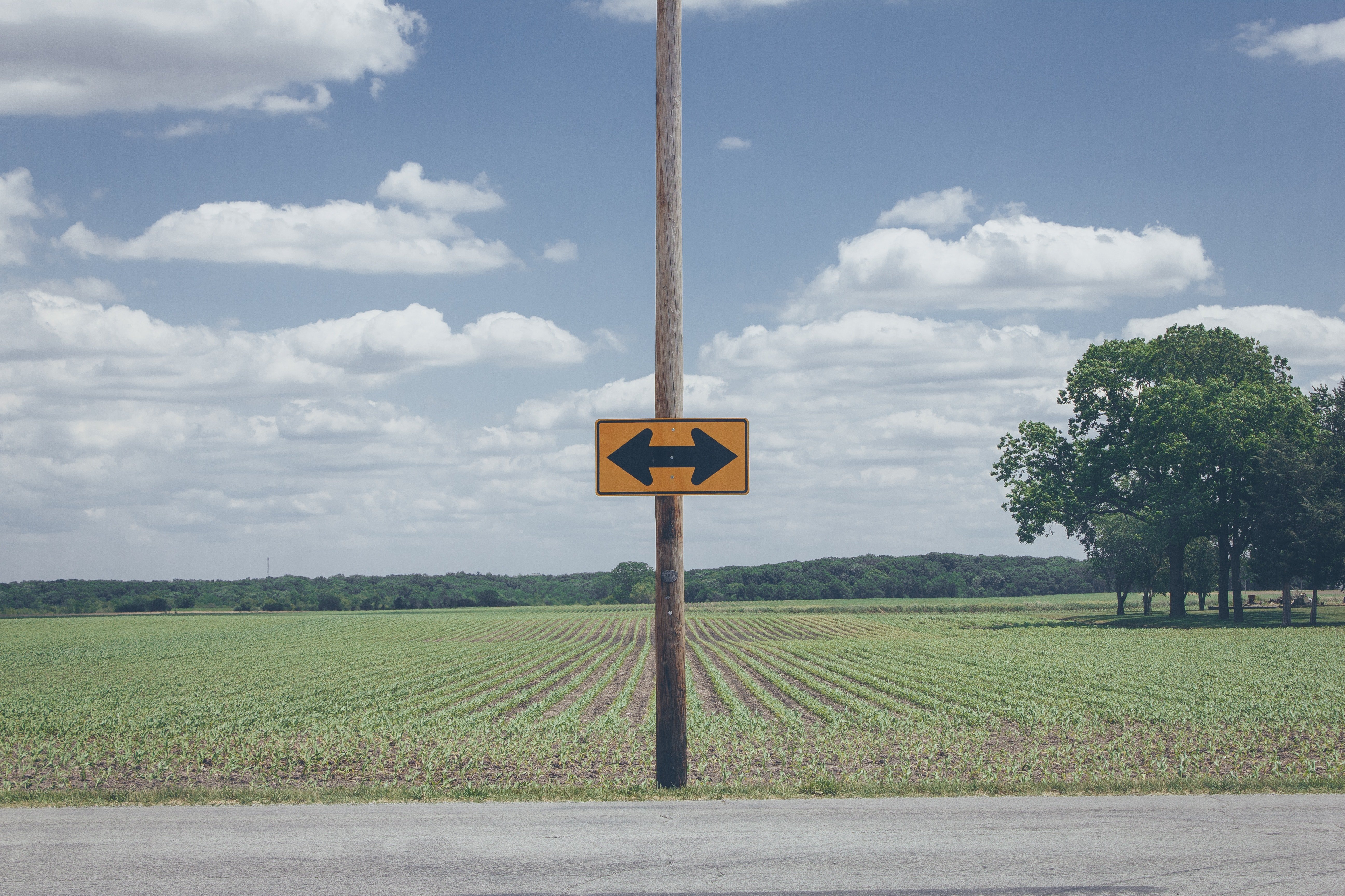 Yellow arrow road signage in rural area. | Source: Pexels.