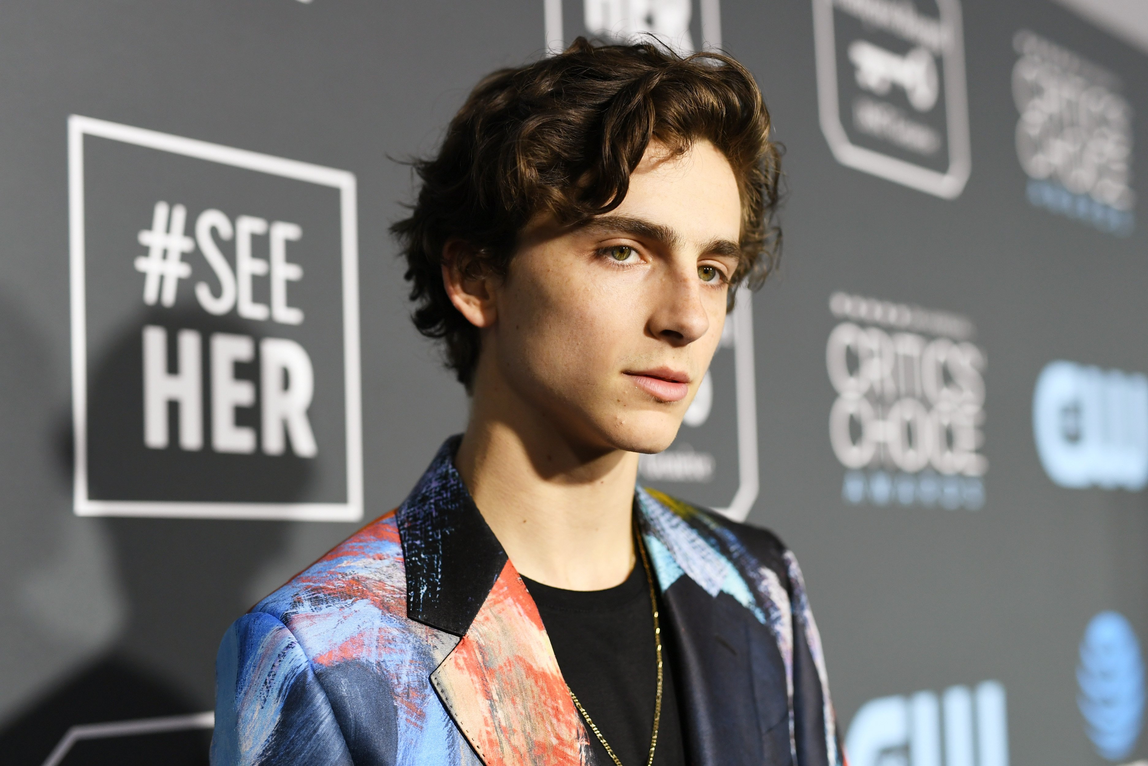 Timothée Chalamet attends the 24th annual Critics' Choice Awards at Barker Hangar on January 13, 2019, in Santa Monica, California. | Source: Getty Images