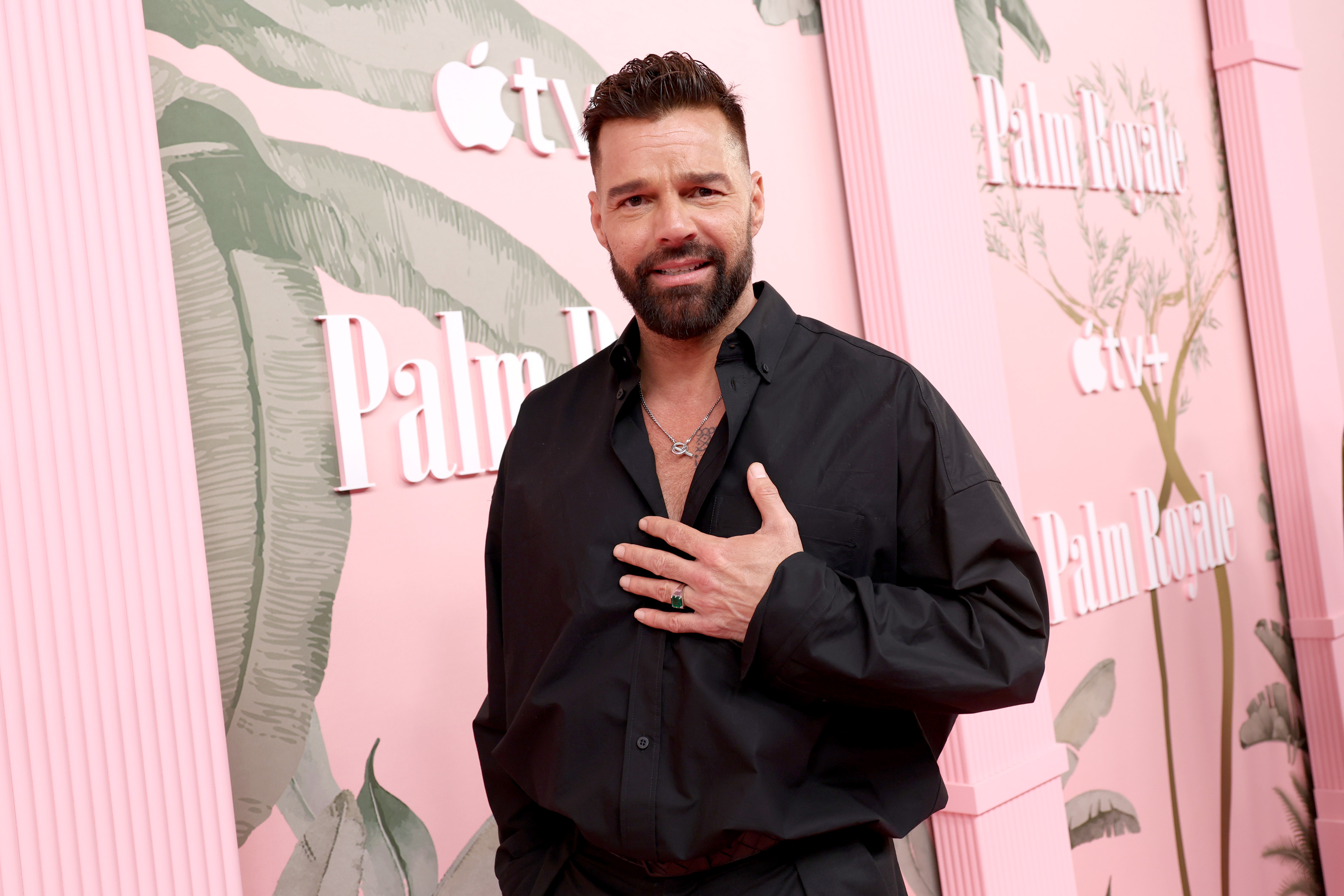 Ricky Martin attends the World Premiere of Apple TV+'s "Palm Royale" on March 14, 2024 in Beverly Hills, California | Source: Getty Images