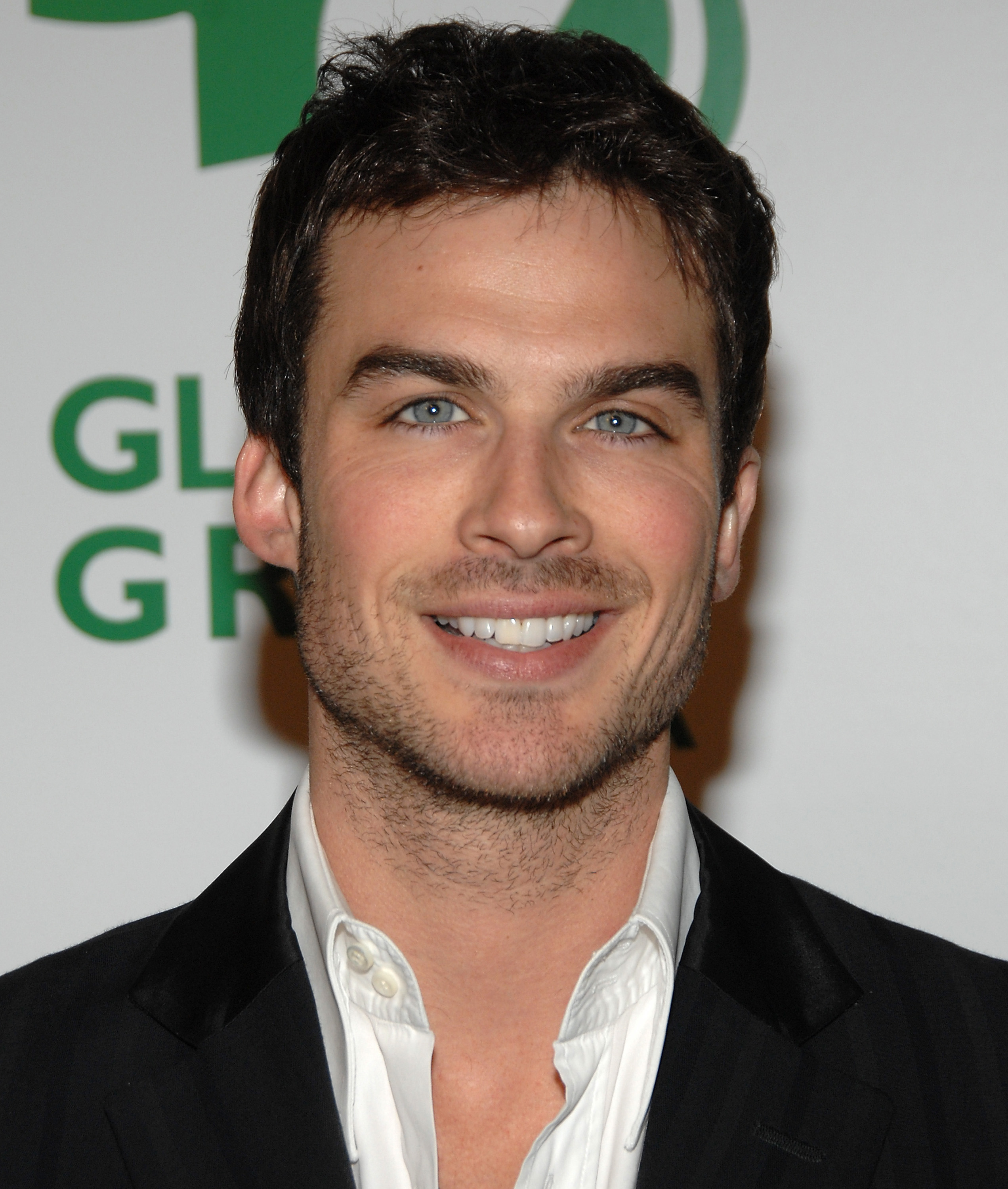 The actor at the Global Green USA 5th pre-Oscar Party on February 20, 2008, in Hollywood, California. | Source: Getty Images