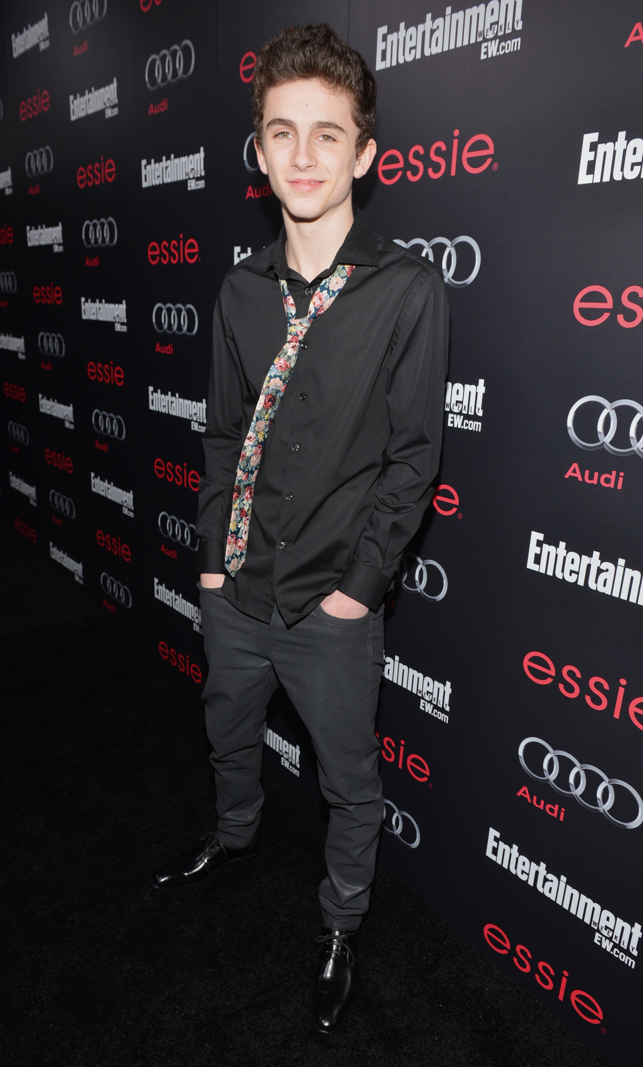 Timothée Chalamet at the Entertainment Weekly Pre-SAG Party on January 26, 2013, in Los Angeles, California | Source: Getty Images