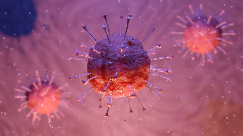 A graphical representation of the novel coronavirus | Photo: Pixabay