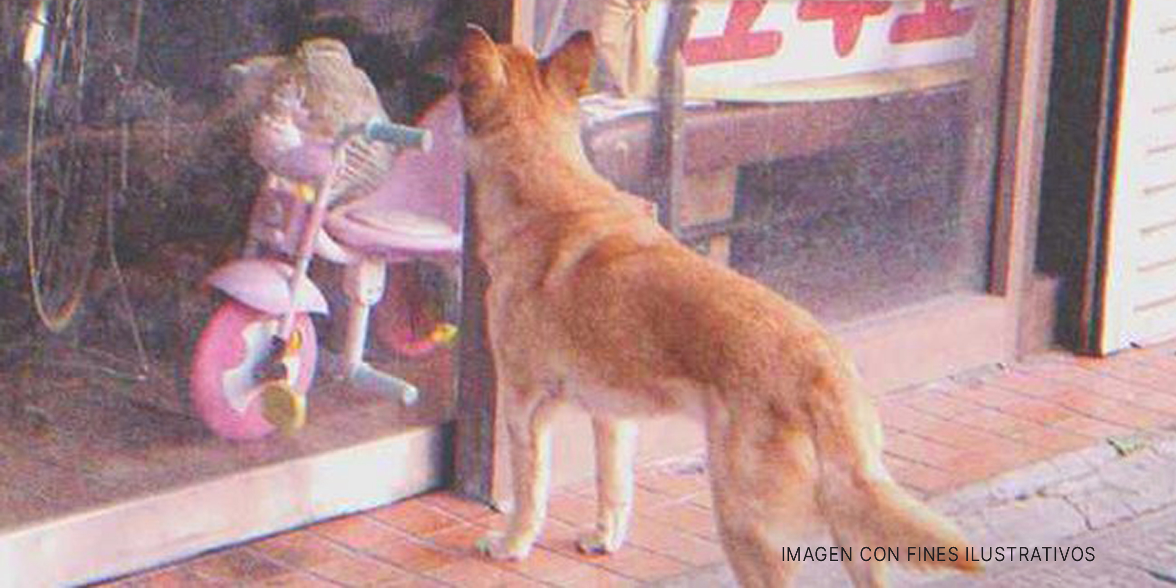 Un perro frente a una tienda | Foto: Flickr.com/Shinichi Sugiyama (CC BY-SA 2.0)