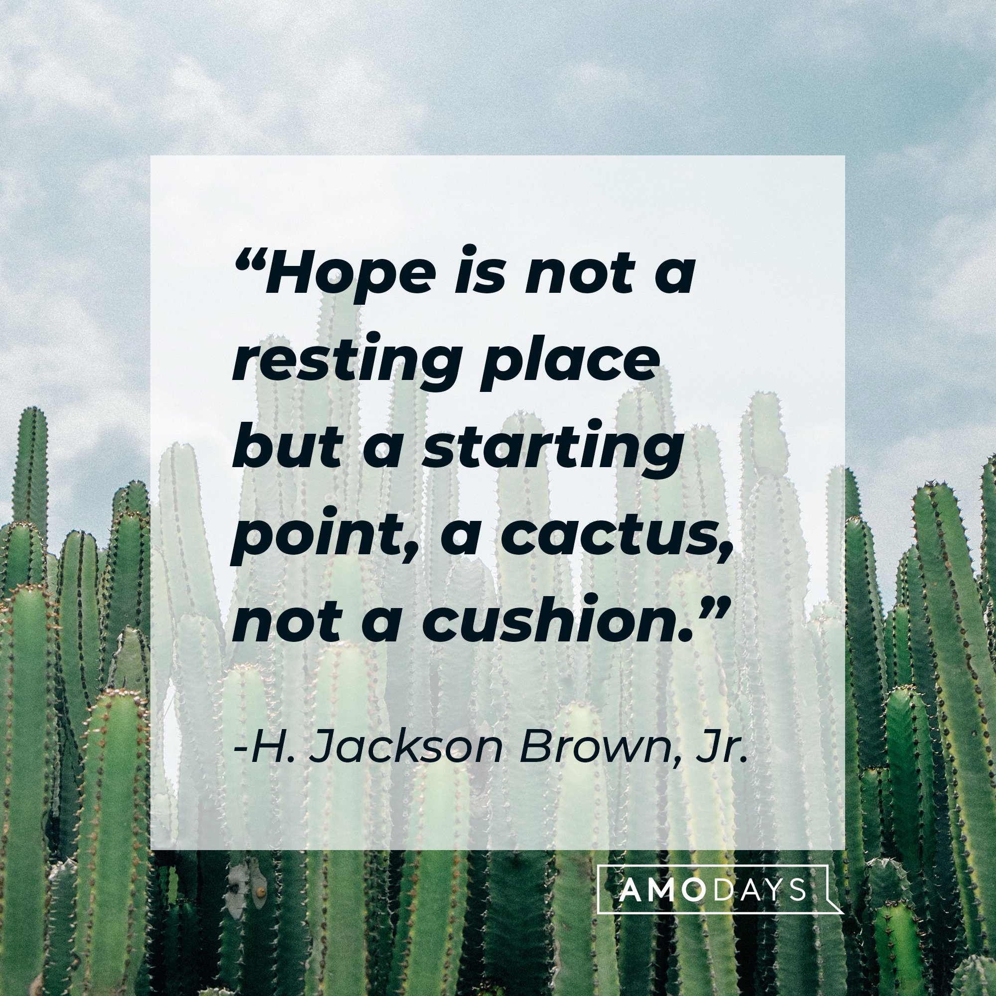 49 Cactus Quotes To Bloom Within The Midst Of Hardship