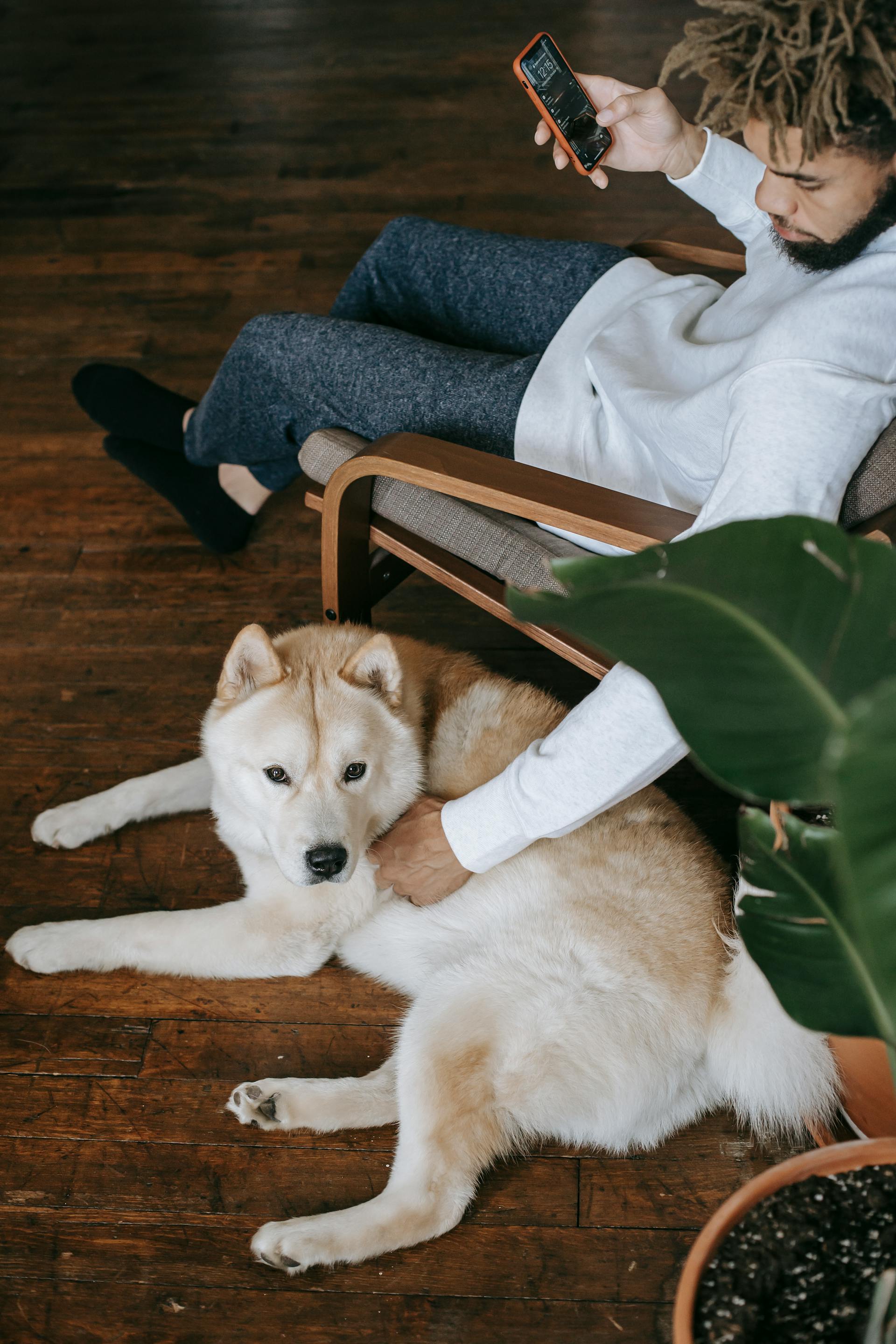 A man holding a phone pats a dog | Source: Pexels