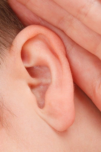 Oreja en primer plano. Fuente: Pixabay