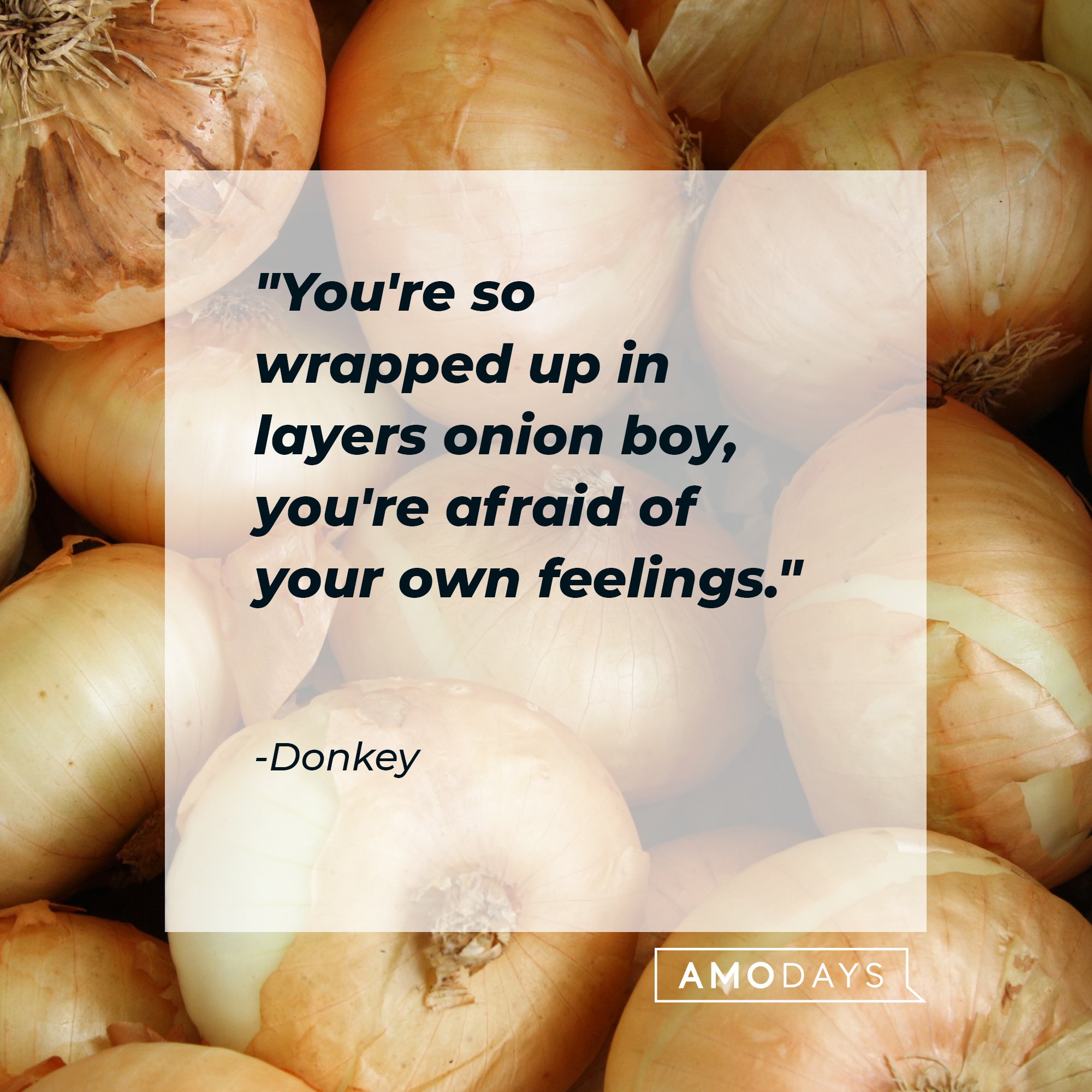  Donkey's quote: "You're so wrapped up in layers onion boy, you're afraid of your own feelings." | Image: AmoDays