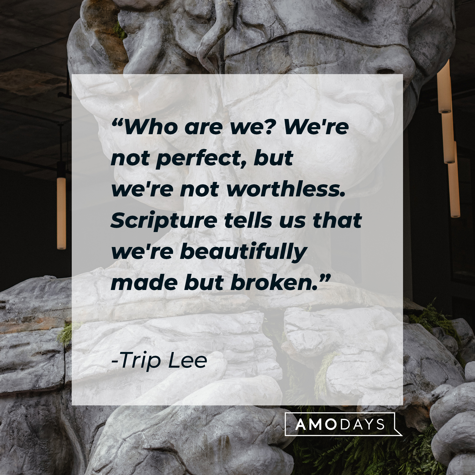 Trip Lee's quote: "Who are we? We're not perfect, but we're not worthless. Scripture tells us that we're beautifully made but broken." | Image: Unsplash