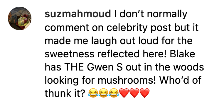 A fan comments on Gwen Stefani’s Reel on morel mushroom hunting that was posted on April 24, 2023. | Source: instagram.com/gwenstefani