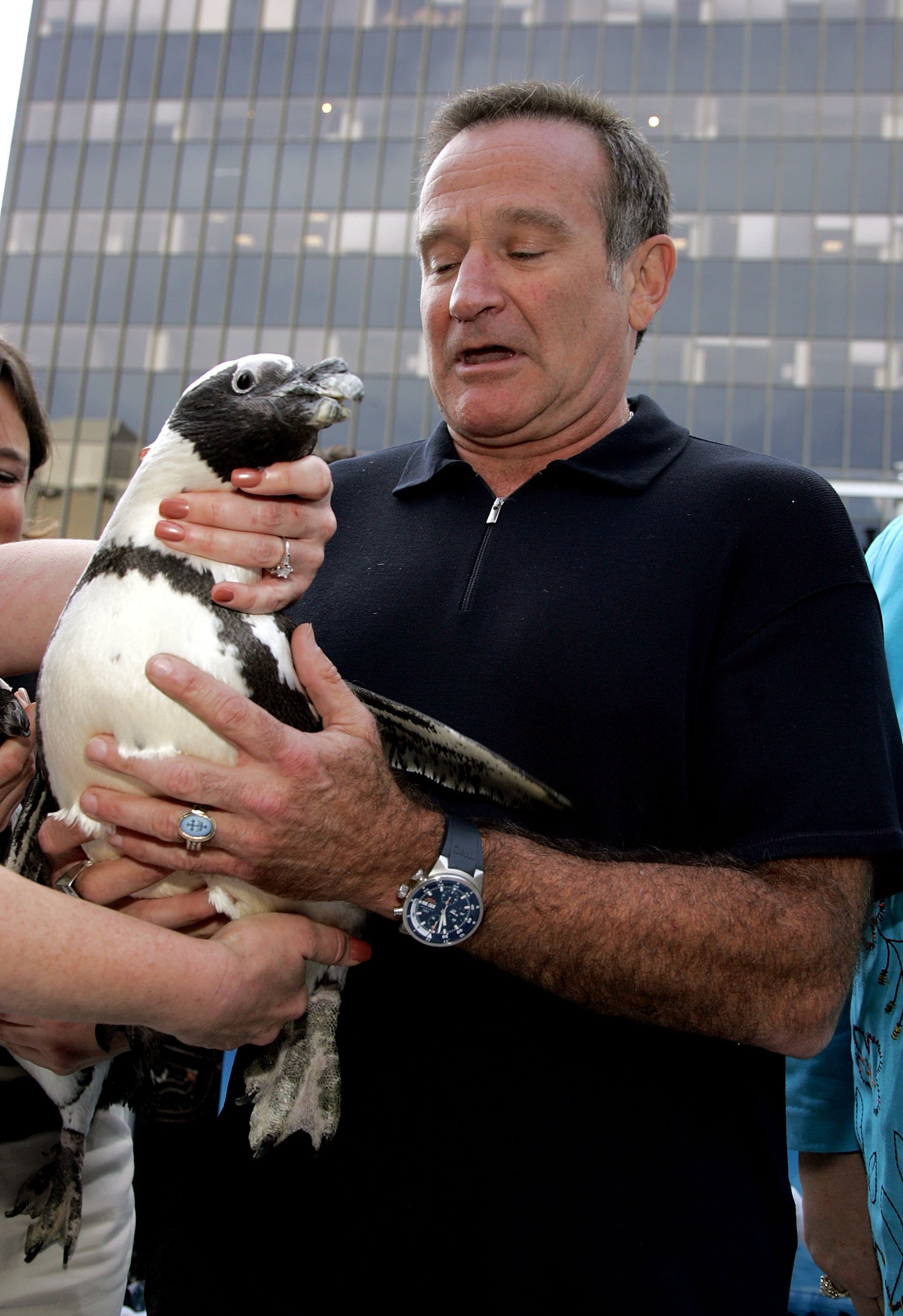 Robin Williams during the premiere of "Happy Feet" on November 12, 2006, in Hollywood, California. | Source: Getty Images