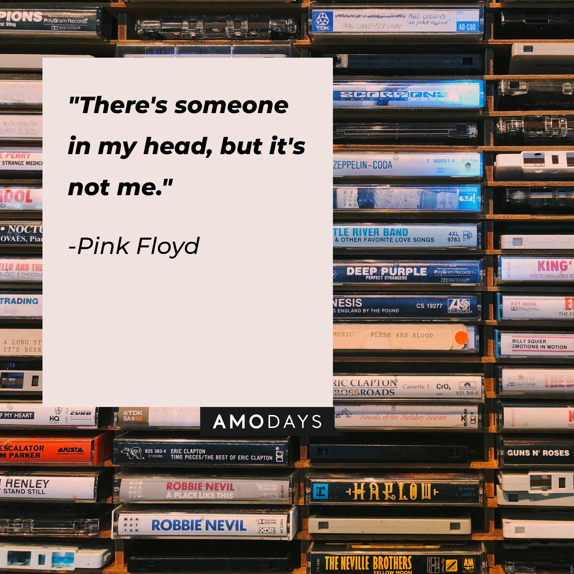 Pink Floyd's quote: "There's someone in my head, but it's not me." | Image: AmoDays