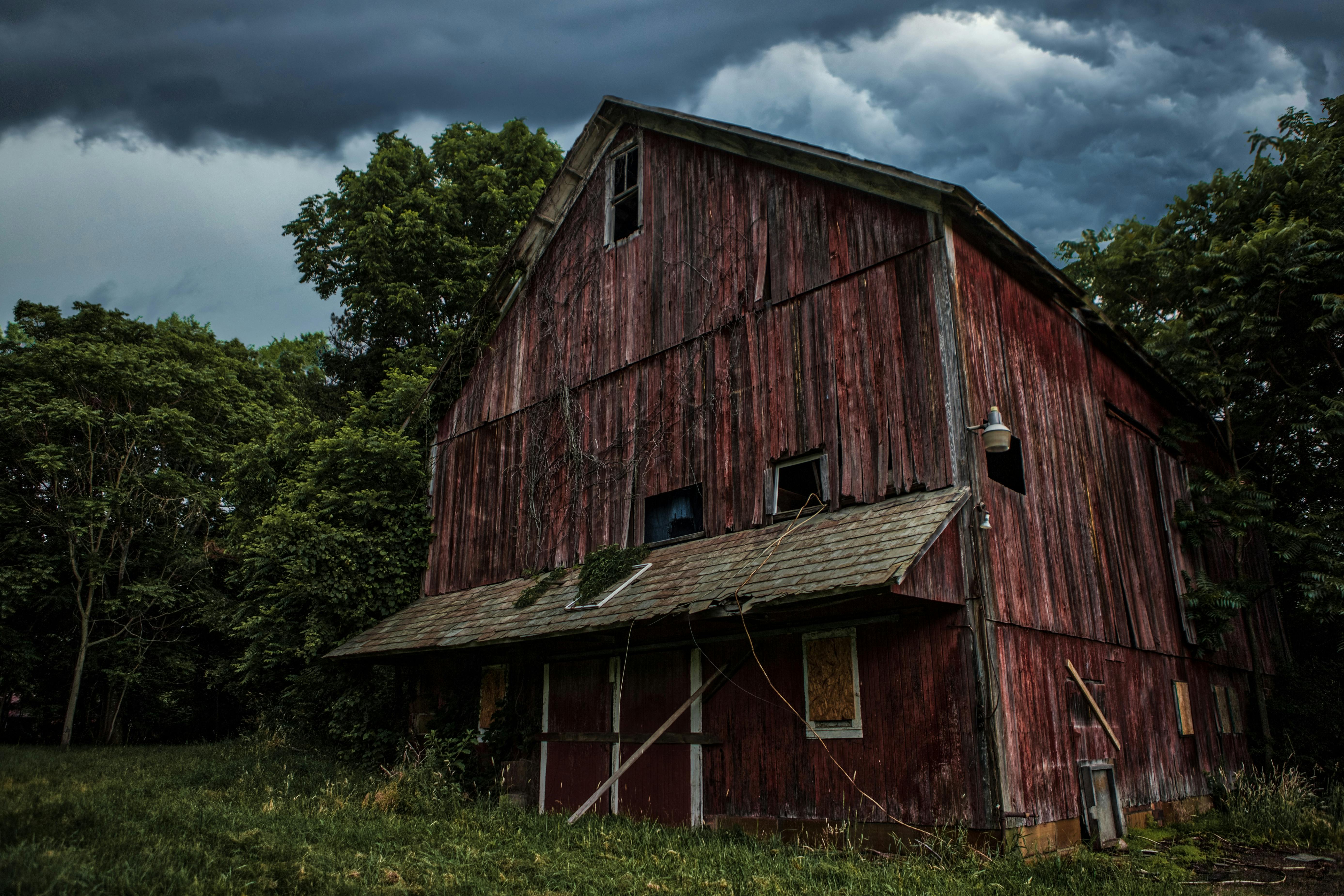 Wooden barn near trees | Source: Midjourney