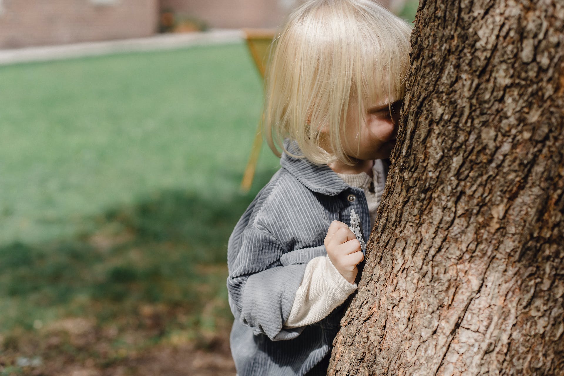 A boy hiding behind a tree | Source: Pexels