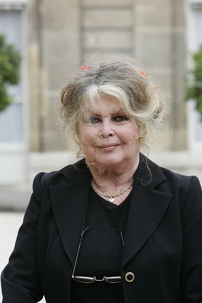 Brigitte Bardot, ancienne actrice et désormais militante pour les droits des animaux. | Photo : Getty Images