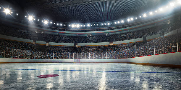Jake was a big lover of Hockey before an accident cut his dreams short. | Source: Pexels