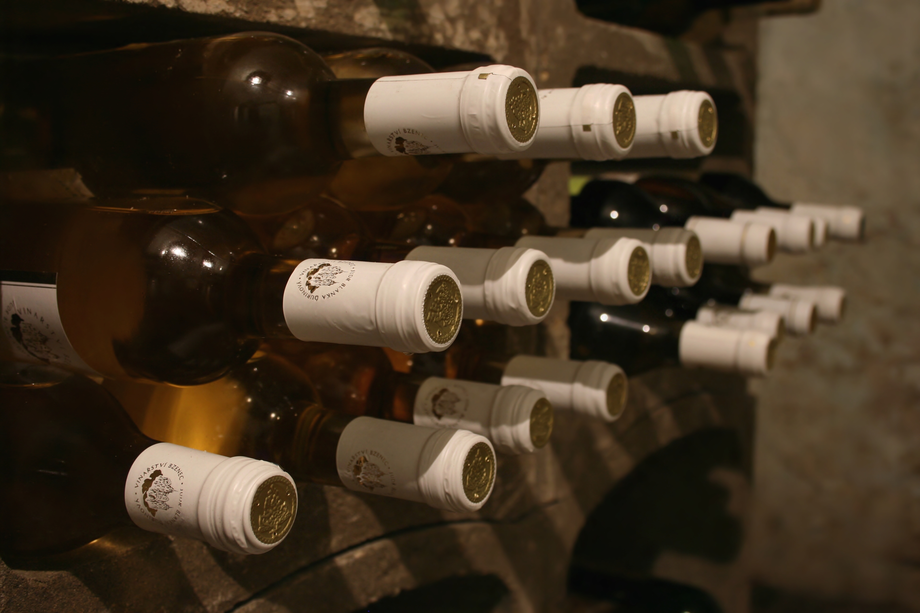 Bottles of wine in wine cellar. | Source: Shutterstock