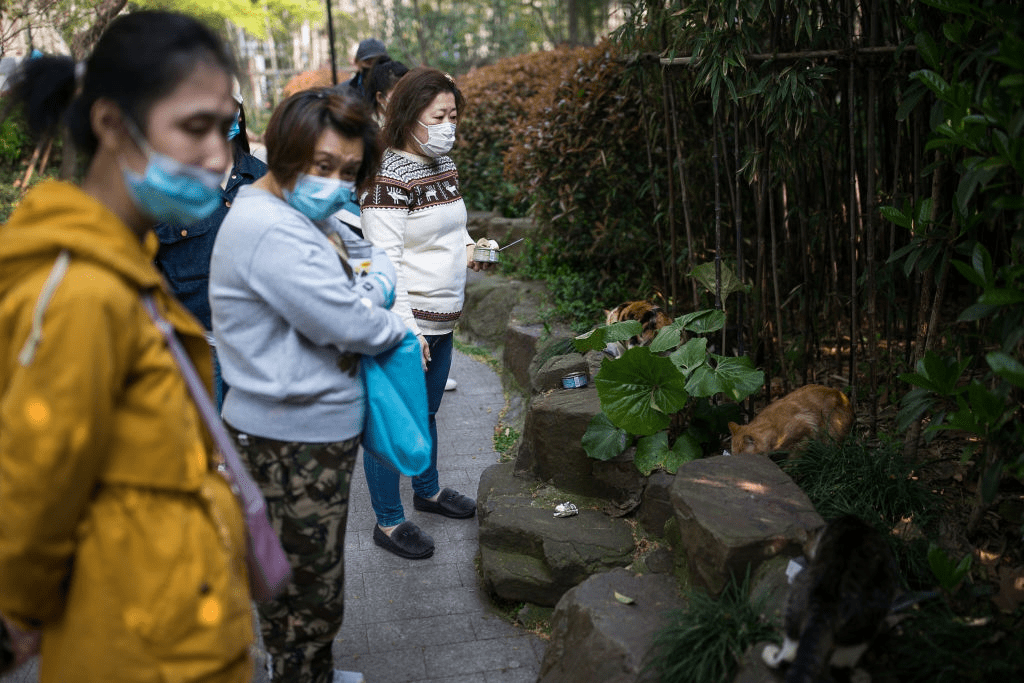 SHANGHAI, CHINE - 25 MARS : Des femmes chinoises portent des masques de protection lorsqu'elles nourrissent des chats errants dans un parc de la ville le 25 mars 2020 à Shanghai, en Chine. | Photo : Getty Images