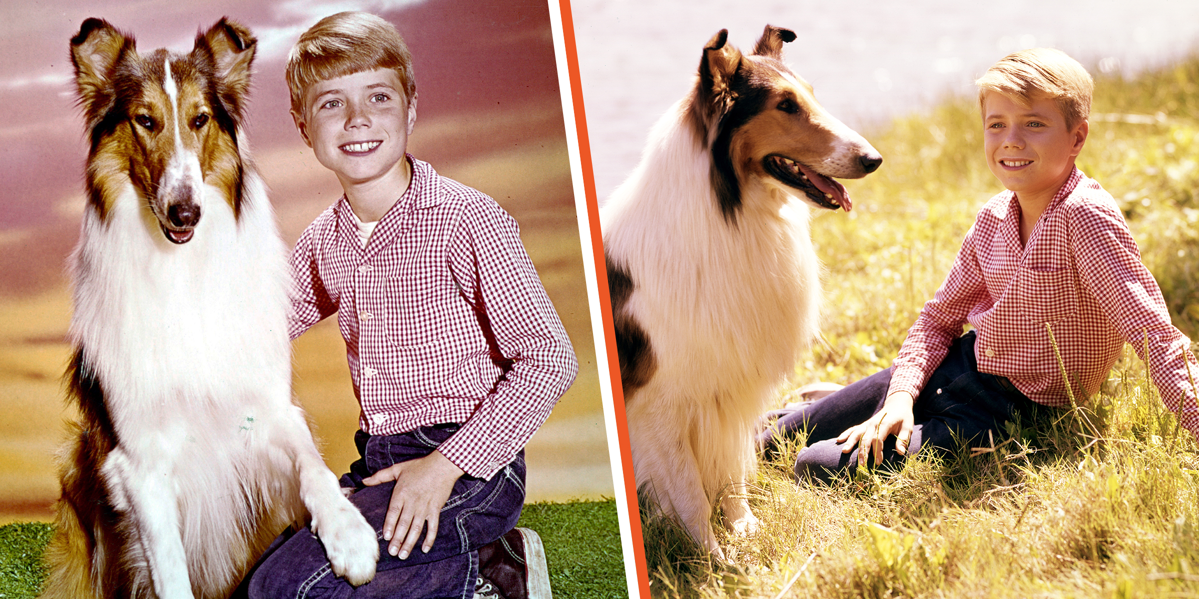 Baby and Jon Provost, 1954 | Baby and Jon Provost, 1964 | Source: Getty Images