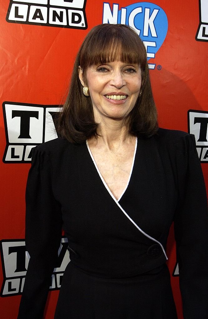 Barbara Feldon at the TV Land and Nick at Nite Upfront in "The Bat Cave" on Broadway | Photo: Getty Images