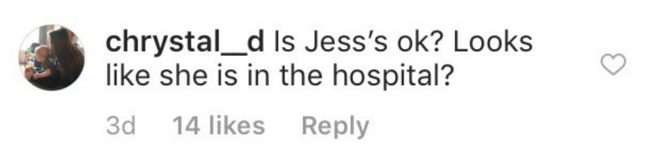One fan's comment under the picture on Instagram | Instagram/seewaldfamily