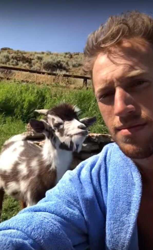 Un Homme Se Dispute Avec Un Bebe Chevre