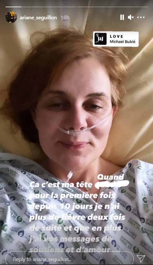 Capture d'écran de la story Instagram d'Ariane Seguillon. ǀ Source : ariane_seguillon