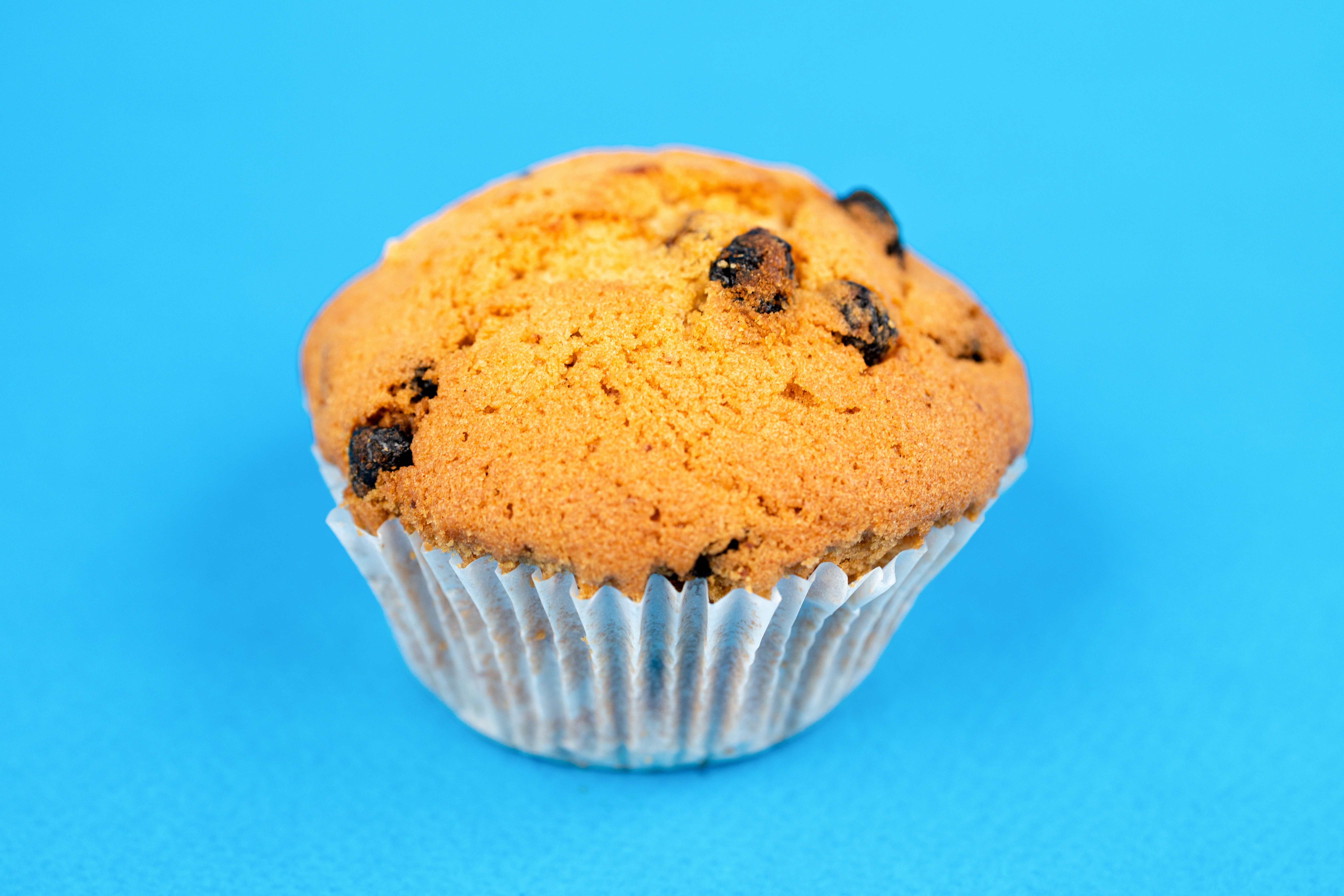 A muffin | Source: Pexels