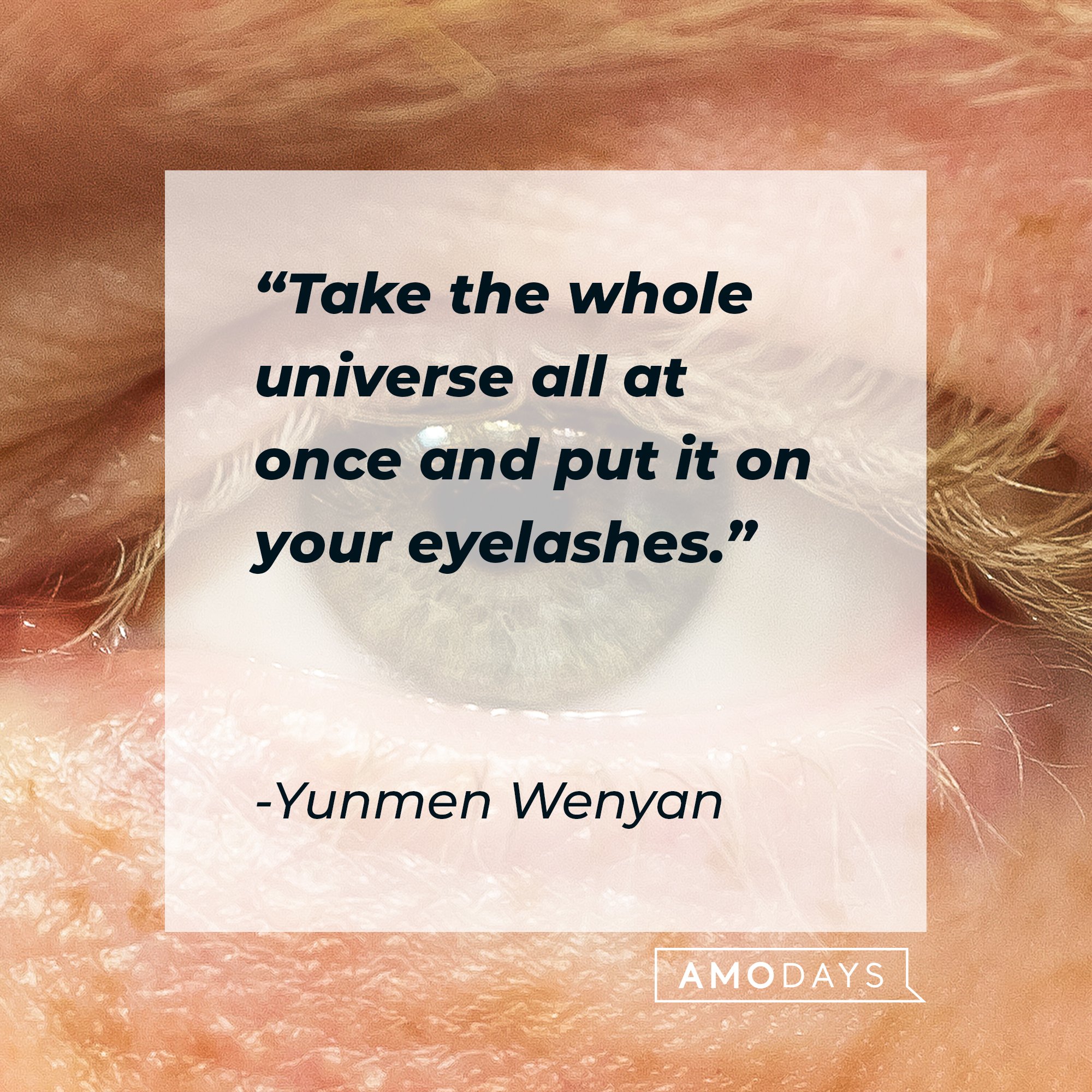 Yunmen Wenyan’s quote: "Take the whole universe all at once and put it on your eyelashes." |  Image: AmoDays