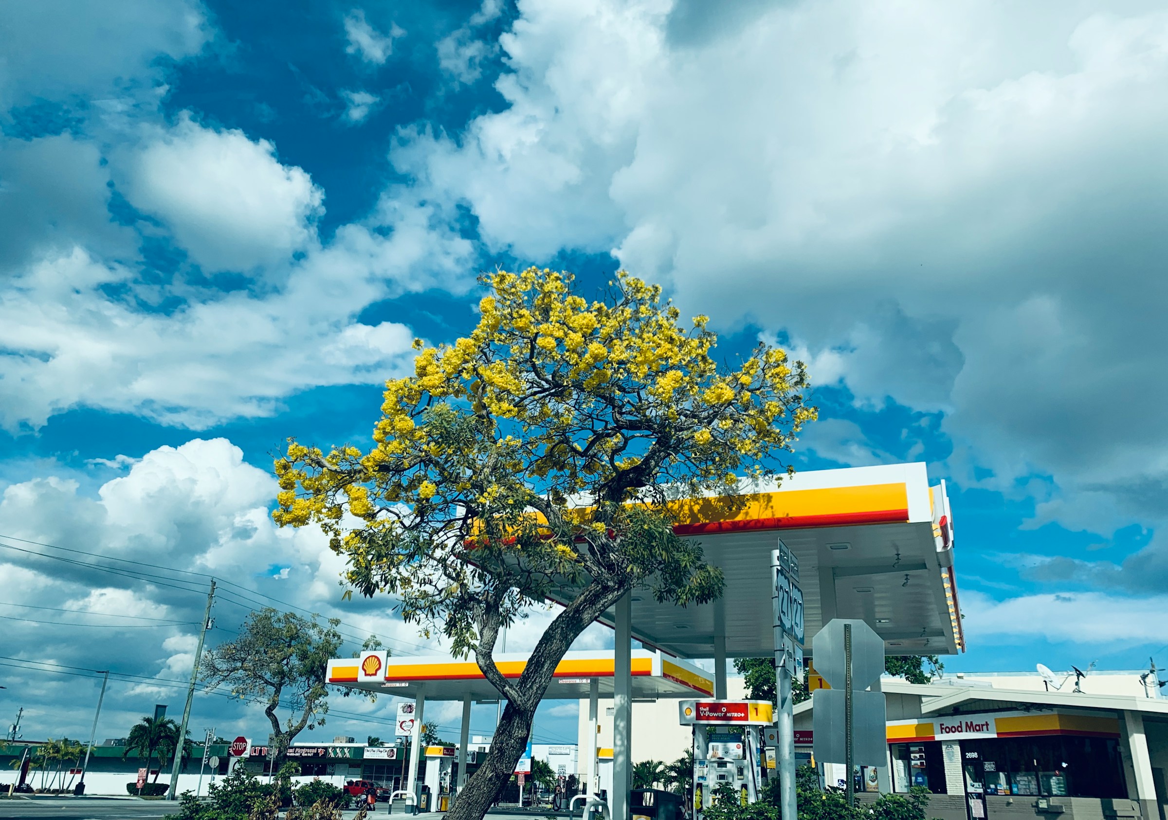 A fuel station with a food mart on a highway | Source: