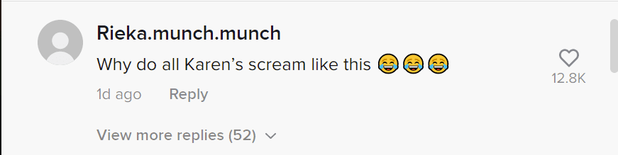 A user's comment on the video of a woman who threw trash on a neighbor's porch. | Photo: tiktok.com/@neighborhood.wars