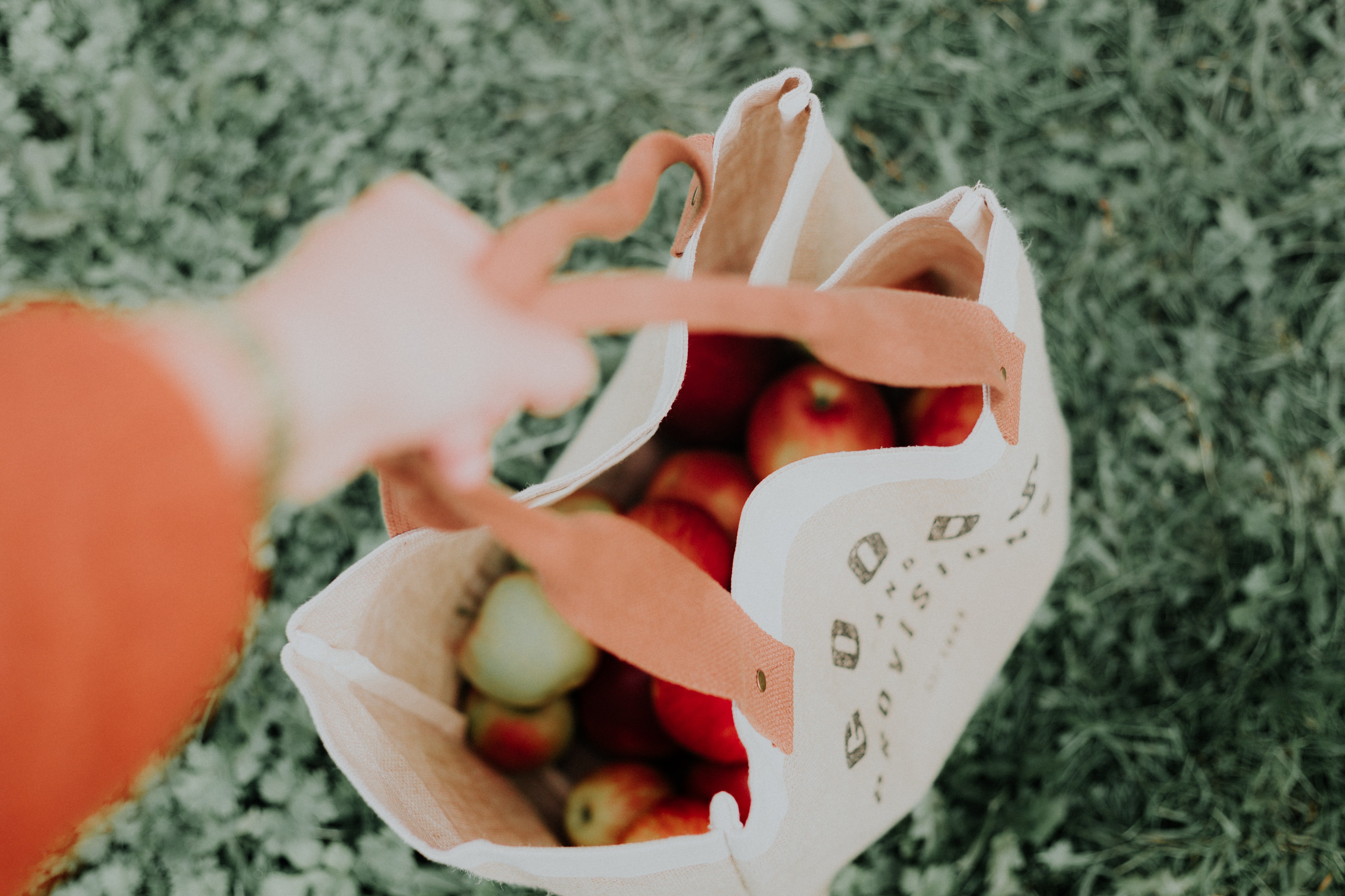 Peter took home a bag of fruit. | Source: Unsplash
