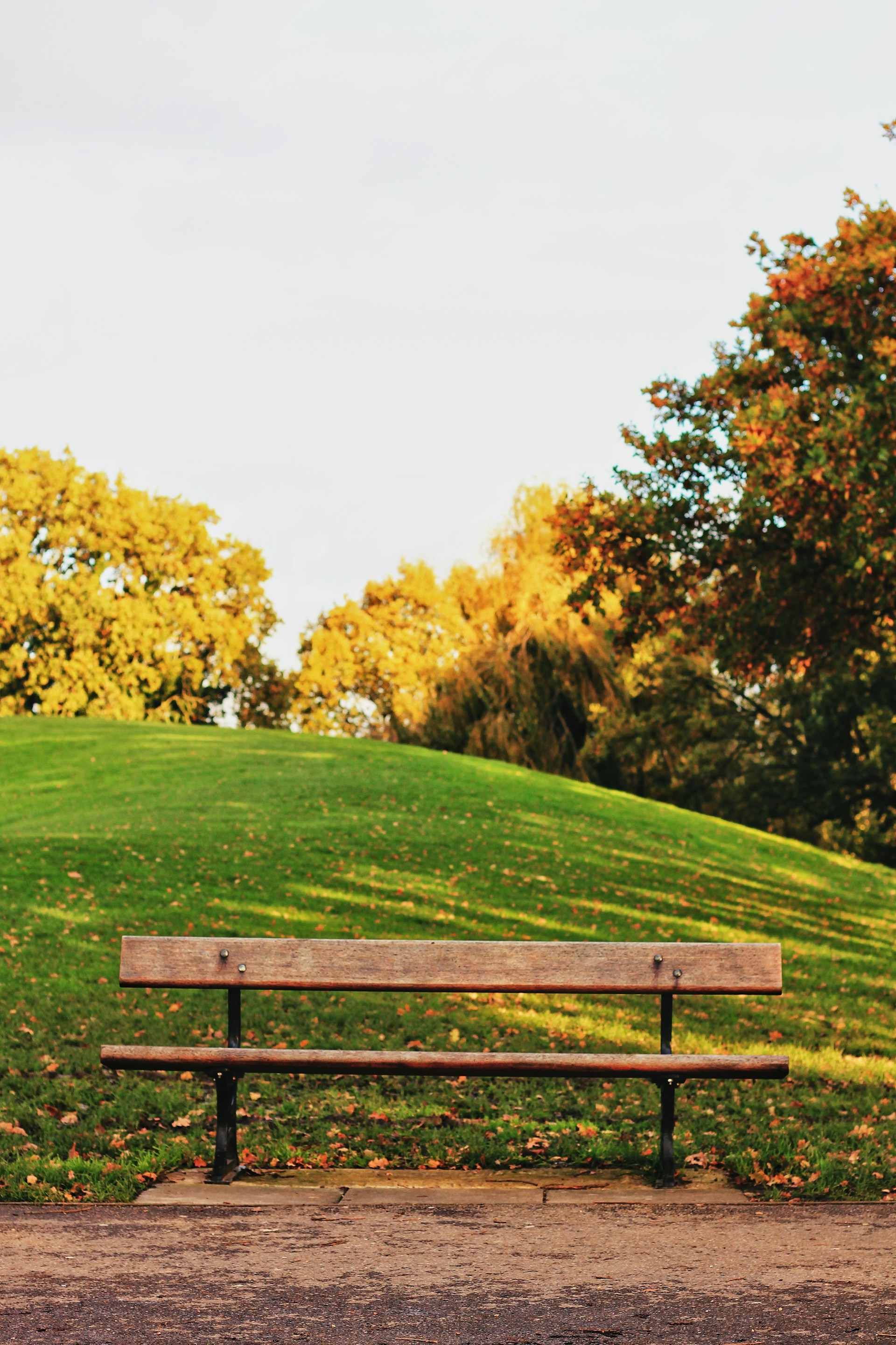A park with a wooden bench | Source: Unsplash