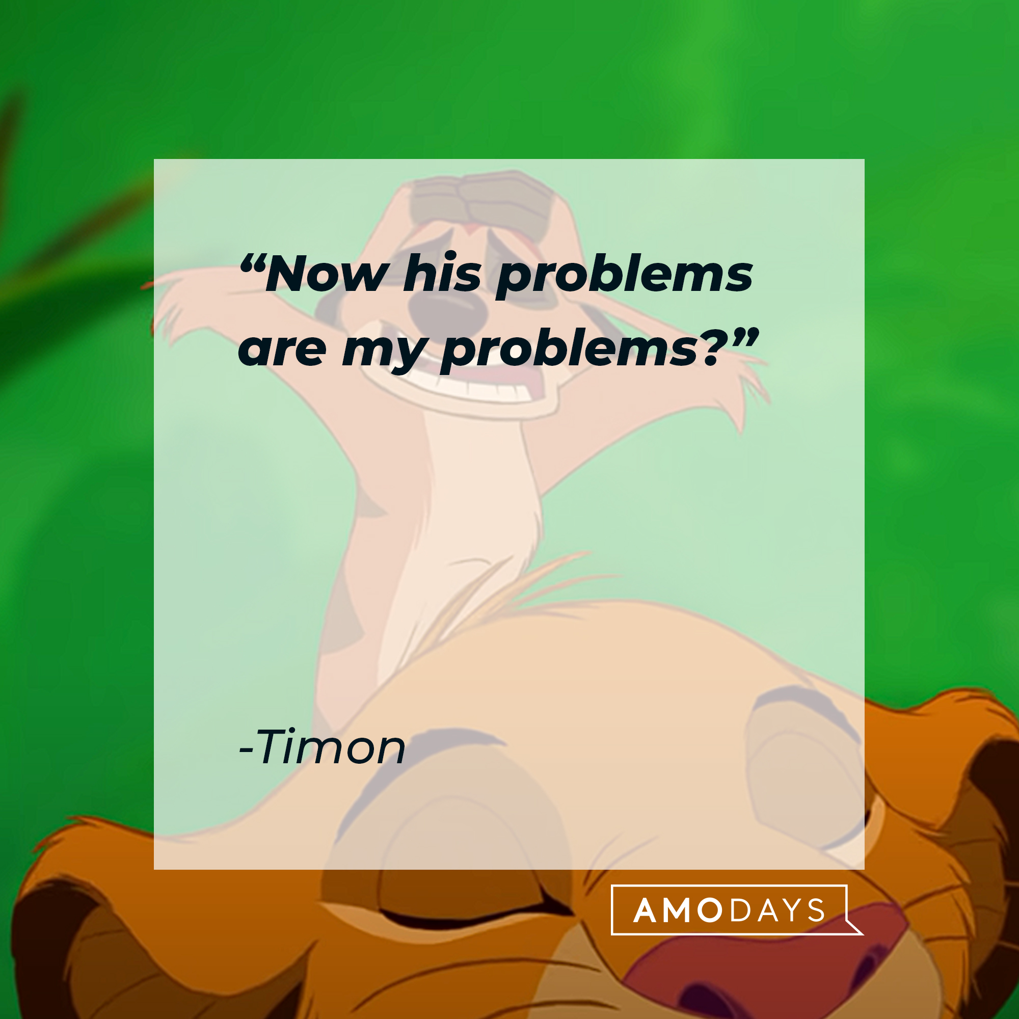Timon and Simba with Timon's quote: “Now his problems are my problems?” | Source: youtube.com/disneyfr