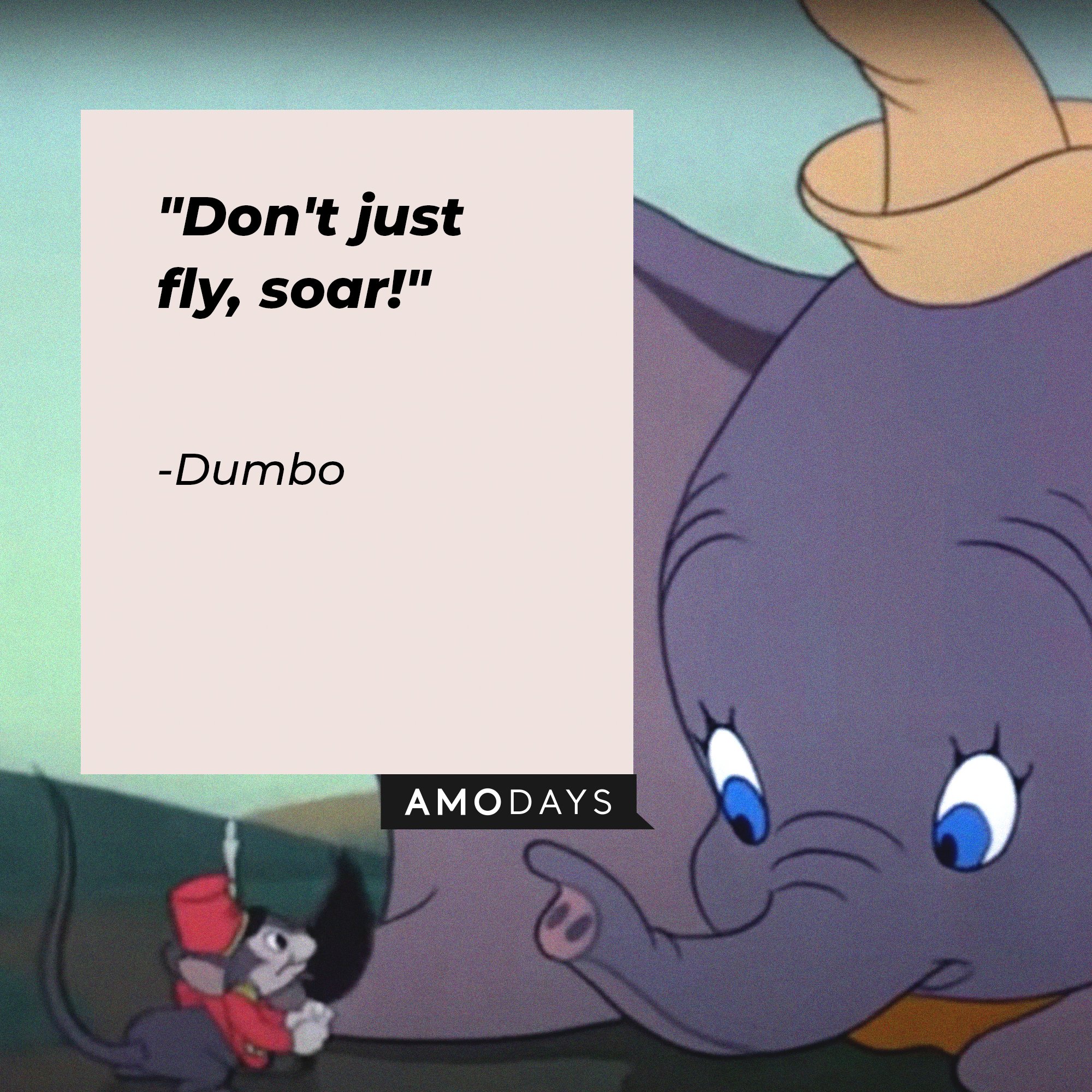  Dumbo’s quote: "Don't just fly, soar!" | Image: AmoDays    