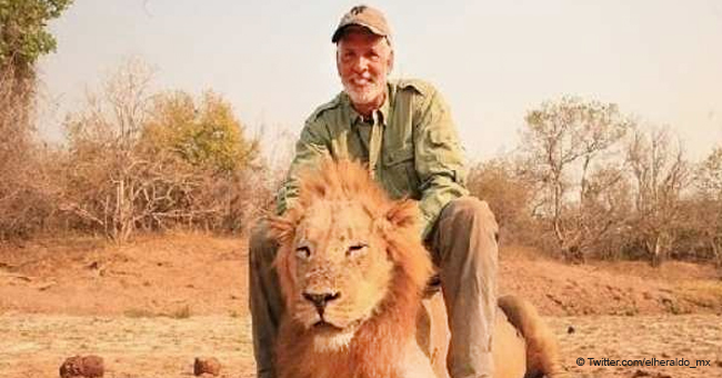 Video revela la identidad de cazador que disparo a un león dormido causando indignación