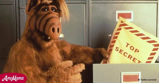 Remember 'Alf'? He's possibly returning to earth in an all-new reboot