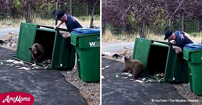 Rescuers bravely save 3 bear cubs trapped in a trash can