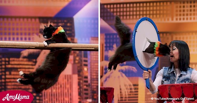 Two women show 'America's Got Talent' what their trained cats can do