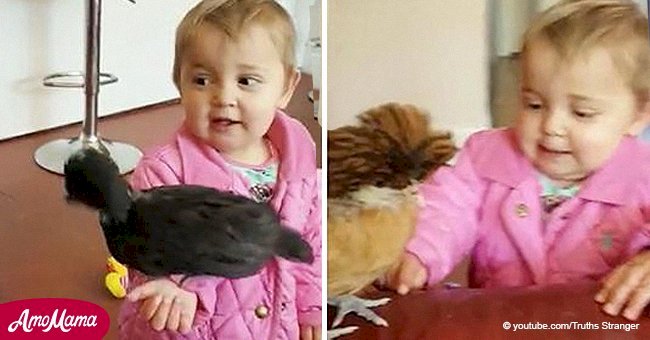 Cute video of toddler having a wonderful time with her extraordinary pets