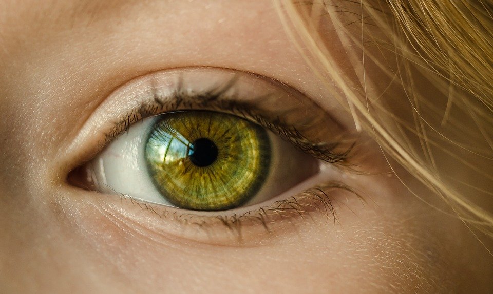 Ojo de mujer. | Foto: Pixabay