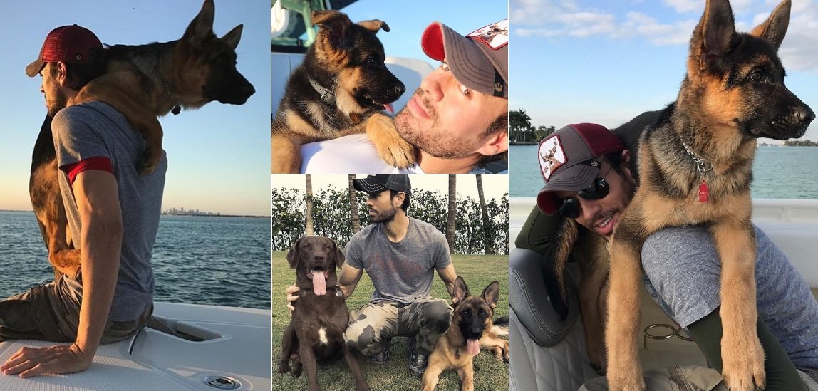 Collage de Enrique Iglesias compartiendo con sus dos perros. |  Imagen: Instagram/enriqueiglesias