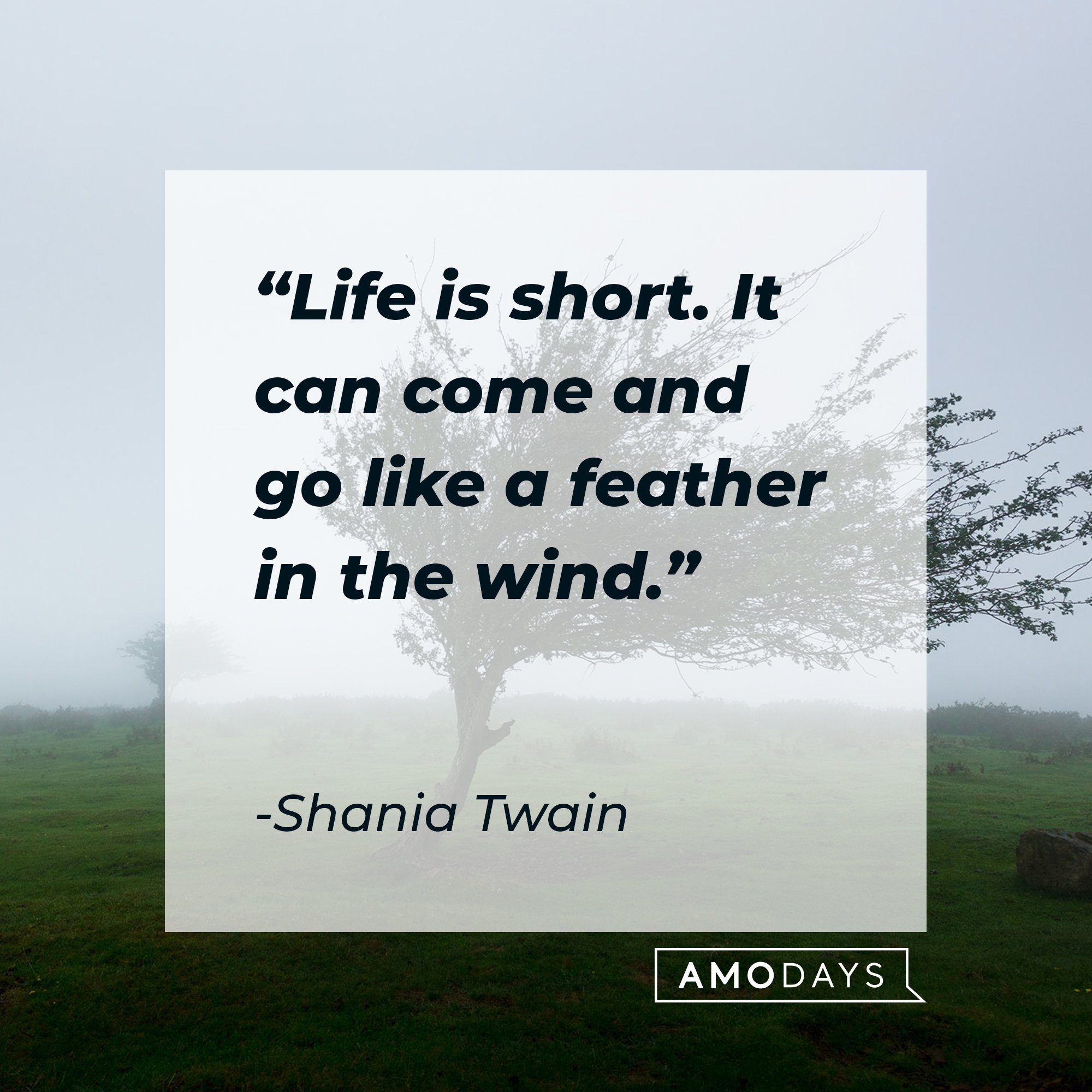 72 Quotes About The Wind To Help You Decide Which Way To Blow