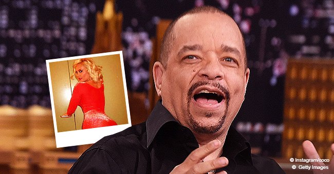 Law And Order Star Ice T S Wife Coco Flaunts Her Killer Curves In A Tight Red Jumpsuit Photo