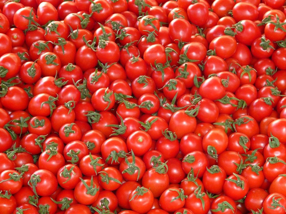 Des tomates. | Photo : Pixabay Des tomates. | Photo : Pixabay