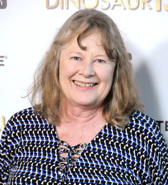 Shirley Knight at DGA Theater on August 12, 2014 in Los Angeles, California. | Photo: Getty Images