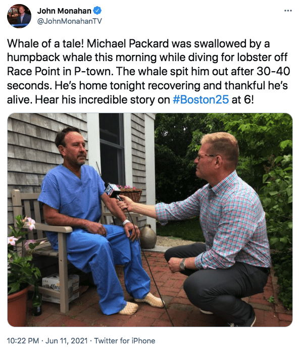 A screenshot of a whale incident survivor Michael Packard being interviewed | Photo: twitter.com/John Monahan