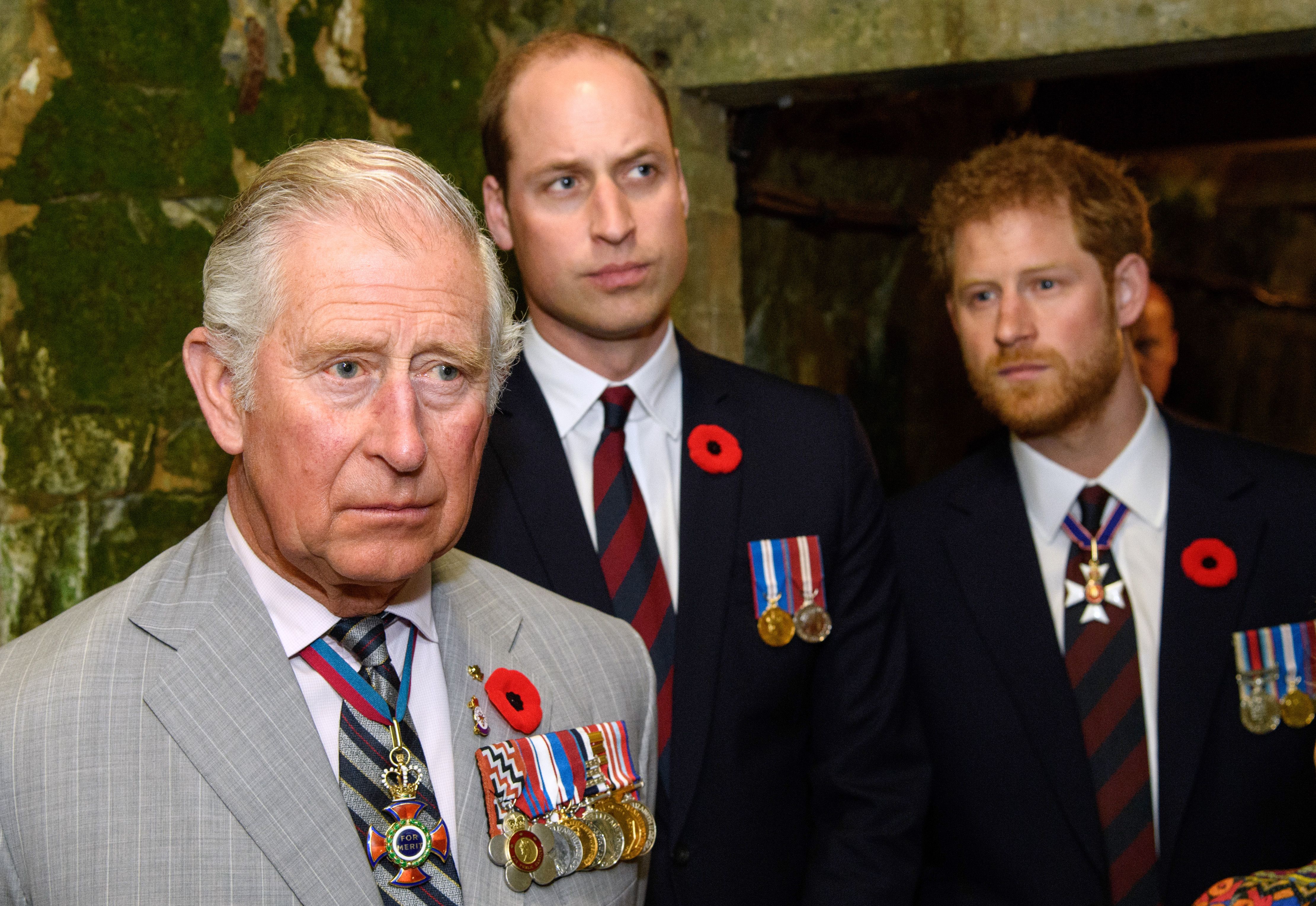 King Charles III, Prince William and Prince Harry visit the tunnel and trenches at Vimy Memorial Park during the commemorations for the centenary of the Battle of Vimy Ridge in Vimy, France on April 9, 2017 | Source: Getty Images