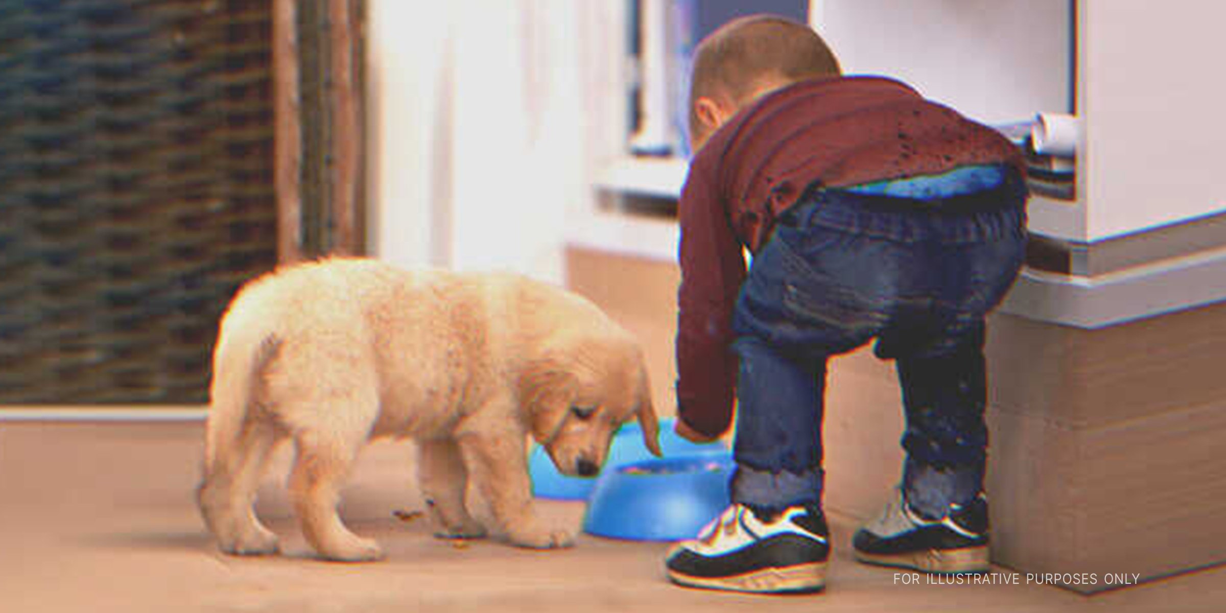 A boy and a puppy next to the food bowl. | Getty Images 